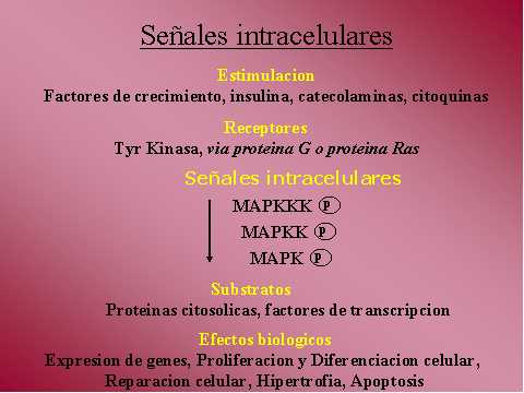 Seales intracelulares