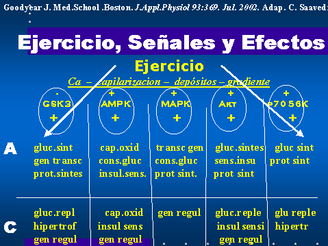 Ejercicio, seales y efectos