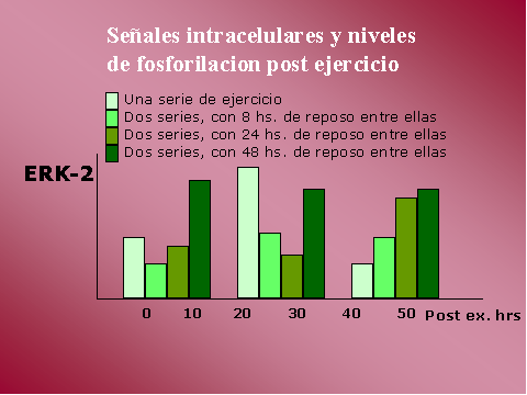 Seales intracelular y niveles de fosforilacion post ejercicio