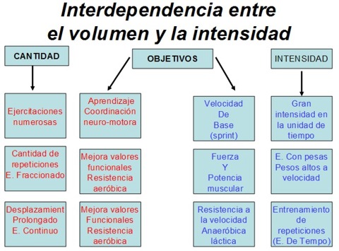 Principios del Entrenamiento: volumen e intensidad