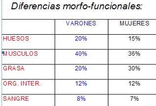 Diferencias morfo funcionales